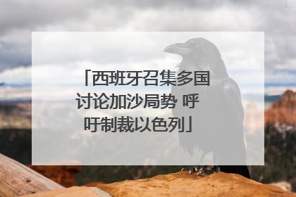西班牙召集多国讨论加沙局势 呼吁制裁以色列
